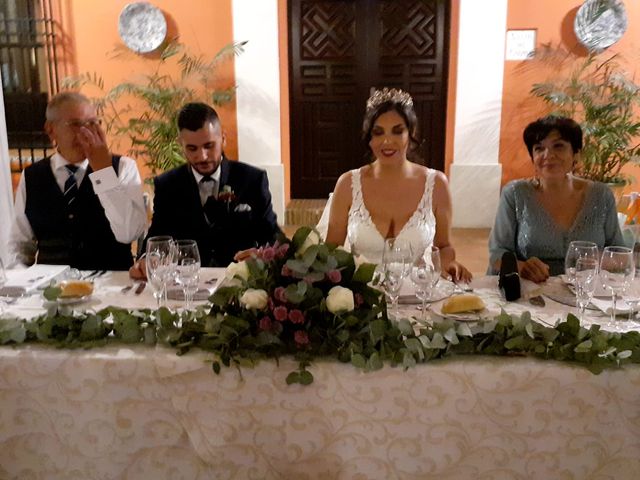 La boda de Juan José y Almudena en Fuente Palmera, Córdoba 2
