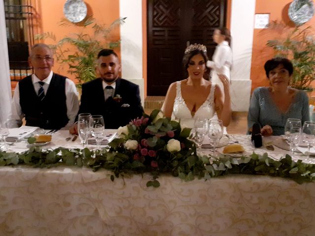 La boda de Juan José y Almudena en Fuente Palmera, Córdoba 14