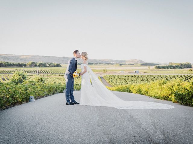 La boda de Michael y Alicia en Castrillo De Duero, Valladolid 28