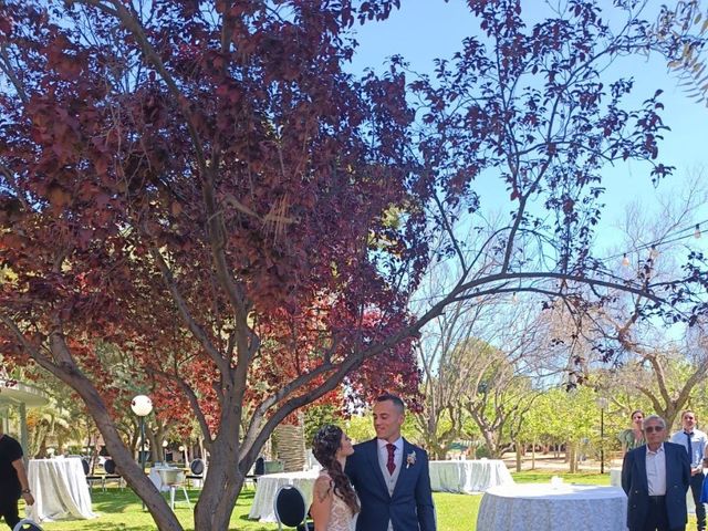La boda de David y Noemi en Alacant/alicante, Alicante 2
