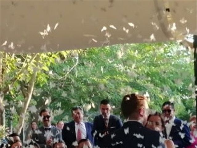 La boda de Emilio  y María en Villarrobledo, Albacete 5