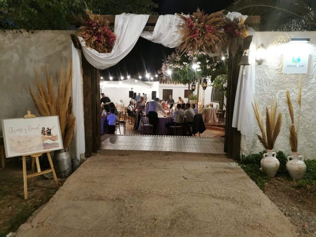 La boda de Daniel y Agnese en Felix, Almería 9