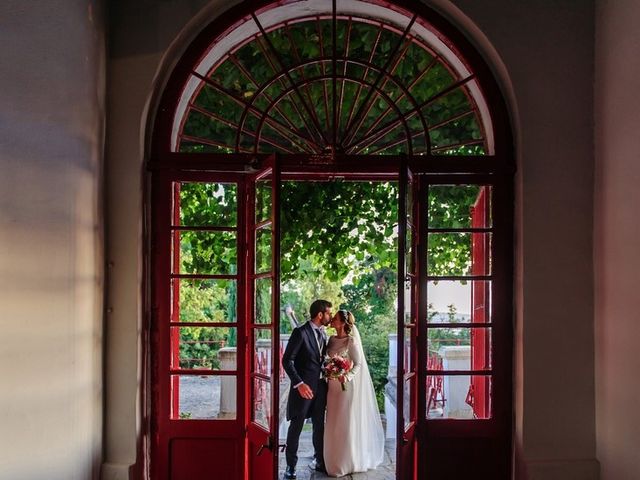 La boda de Pedro y Maria en Jerez De La Frontera, Cádiz 2