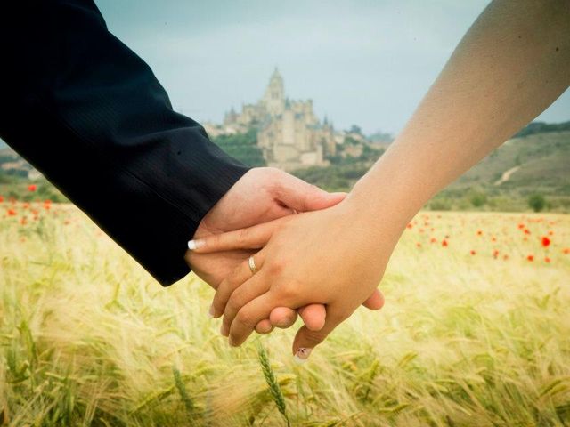 La boda de Alicia y Samuel en Segovia, Segovia 4