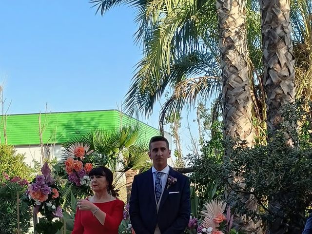 La boda de Samuel y Paola en Velez Malaga, Málaga 5