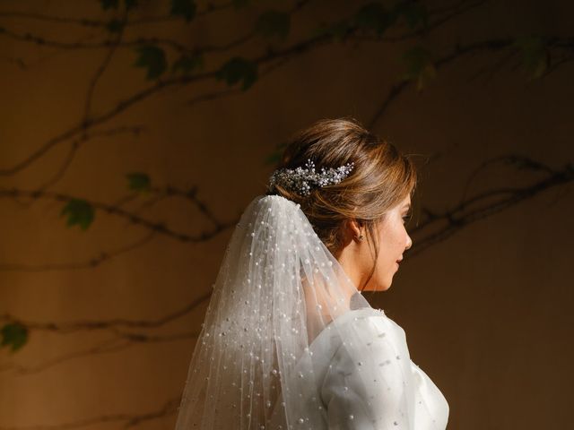 La boda de Alexis y Alex en Toledo, Toledo 18