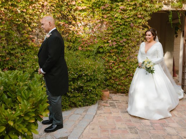 La boda de Alexis y Alex en Toledo, Toledo 22