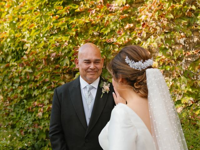 La boda de Alexis y Alex en Toledo, Toledo 25