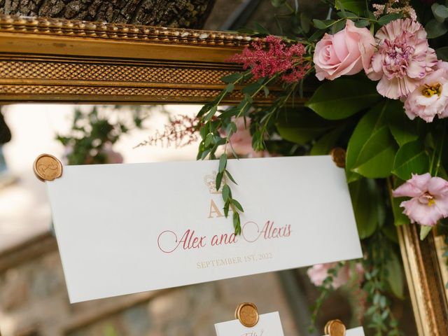 La boda de Alexis y Alex en Toledo, Toledo 33