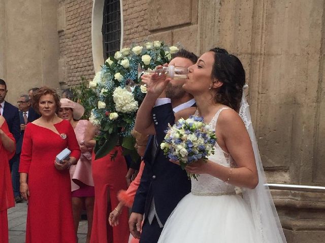 La boda de Alejandro  y Melanie  en Murcia, Murcia 4