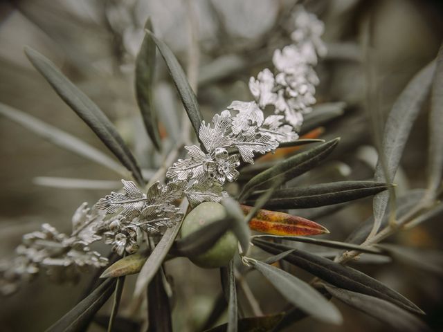 La boda de Juan y Juani en Algeciras, Cádiz 1