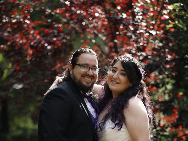 La boda de David y Mireia en Montserrat (Monestir), Barcelona 5