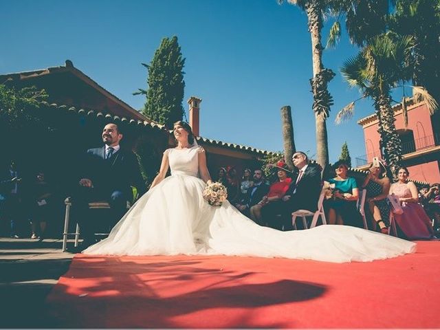 La boda de David y Belén en Jerez De La Frontera, Cádiz 18