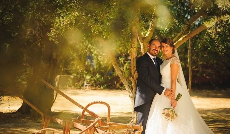 La boda de David y Belén en Jerez De La Frontera, Cádiz