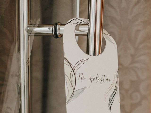 La boda de Adrián y Violeta en Jerez De La Frontera, Cádiz 3