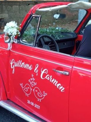 La boda de Guillermo  y Carmen  en Ávila, Ávila 3