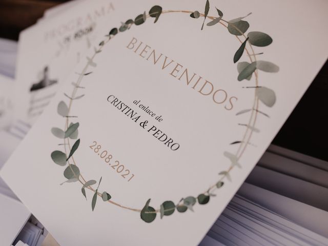 La boda de Pedro y Cristina en Torreperogil, Jaén 17