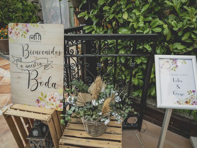 La boda de Goyo y Lydia en Madrid, Madrid 8