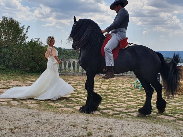 La boda de Jorge  y Lydia en Rubio, Barcelona 6