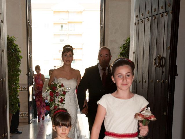 La boda de Alba y Alberto en San Pedro Alcantara, Málaga 14