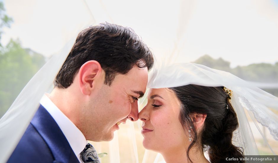 La boda de Adrian y Elena en Manzanares El Real, Madrid