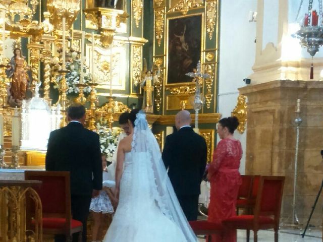 La boda de Moises y Rocio en Marbella, Córdoba 1