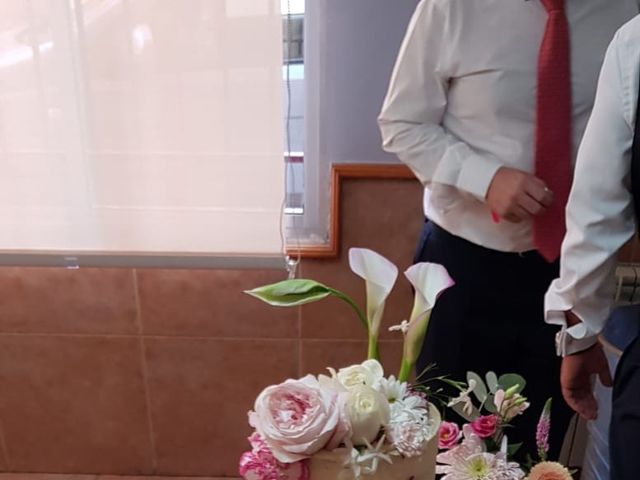 La boda de Javier y Amparo  en Jerte, Cáceres 6