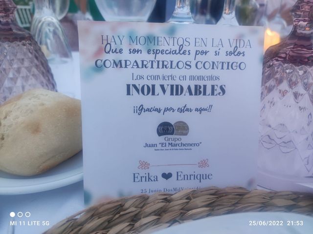 La boda de Enrique  y Erika  en Dos Hermanas, Sevilla 6