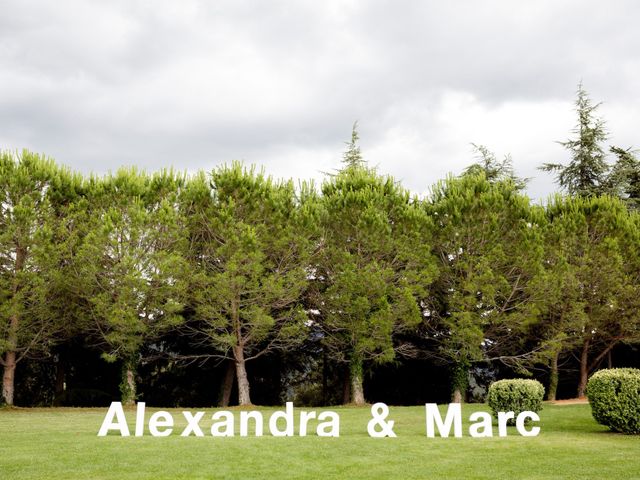 La boda de Marc y Alexandra en Arbucies, Girona 10