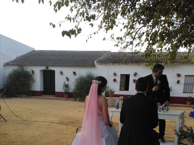 La boda de Miguel y Rocío  en Palomares Del Rio, Sevilla 1