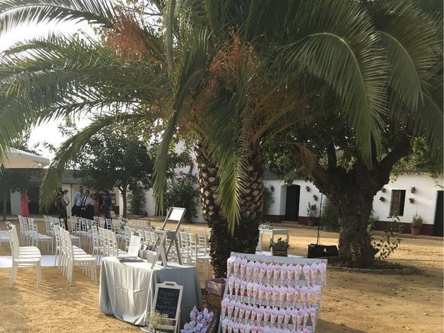 La boda de Miguel y Rocío  en Palomares Del Rio, Sevilla 14
