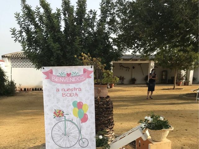 La boda de Miguel y Rocío  en Palomares Del Rio, Sevilla 15