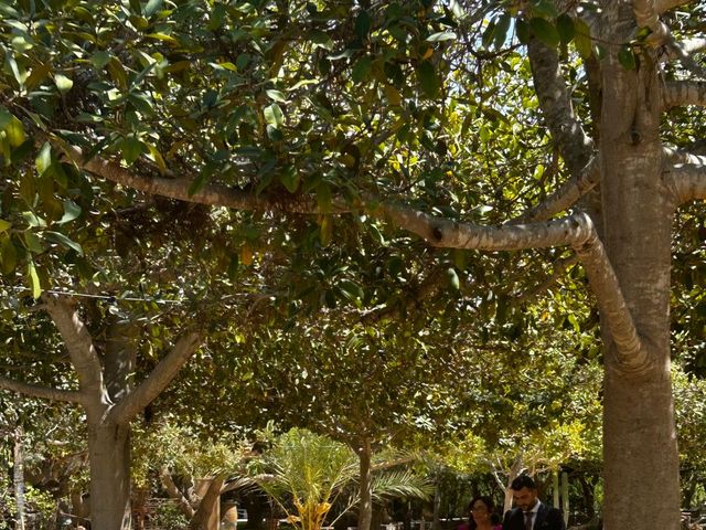 La boda de Juan Pedro y Blanca en Elx/elche, Alicante 1