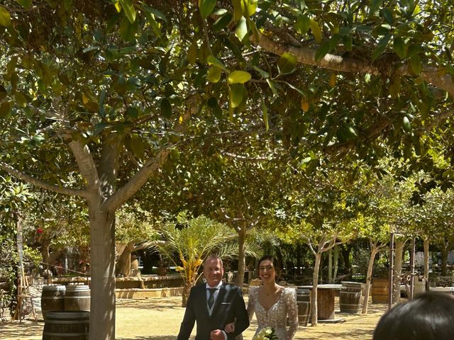 La boda de Juan Pedro y Blanca en Elx/elche, Alicante 2