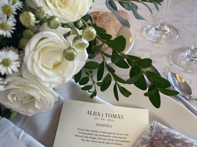La boda de Tomàs y Alba en Cellers, Lleida 4