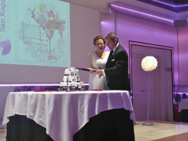 La boda de Nuria y Javier en Villarta De San Juan, Ciudad Real 7