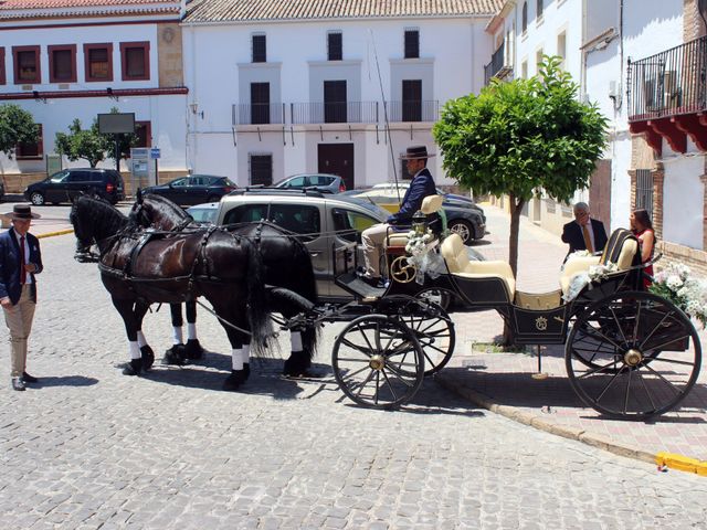 La boda de Domingo y Rosario en Lopera, Granada 2
