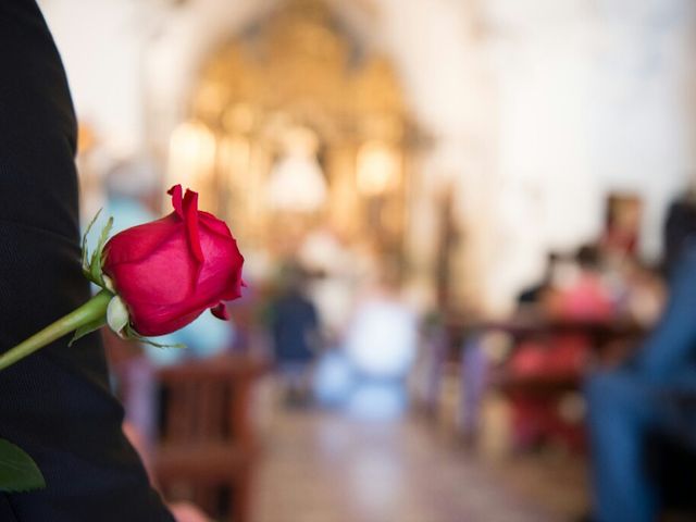 La boda de David y Farners en Grions, Girona 14