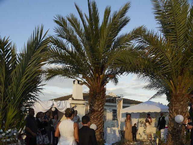 La boda de Fernnado y Viviana en Valencia, Valencia 14