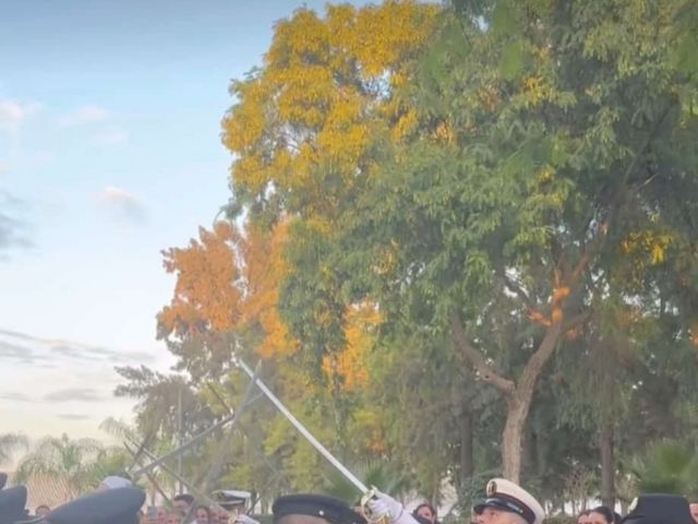 La boda de Francisco y Macarena en Los Palacios Y Villafranca, Sevilla 3