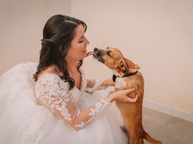 La boda de Guillermo y Almudena en Elx/elche, Alicante 11