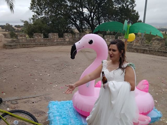 La boda de David  y Rebeca  en Cáceres, Cáceres 56
