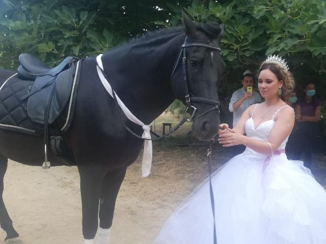 La boda de Pierre y Verónica en Santes Creus, Tarragona 12