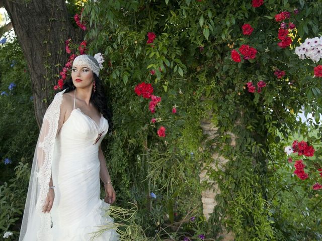 La boda de Manuel y Patricia en Aznalcazar, Sevilla 6