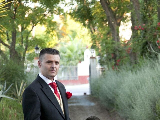 La boda de Manuel y Patricia en Aznalcazar, Sevilla 13