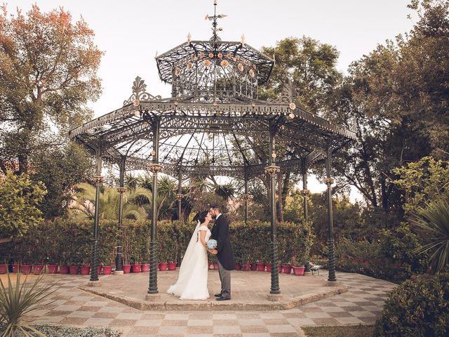 La boda de Angel y Isabel en Jerez De La Frontera, Cádiz 17