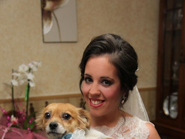 La boda de Manuel y Paqui en Bailen, Jaén 5