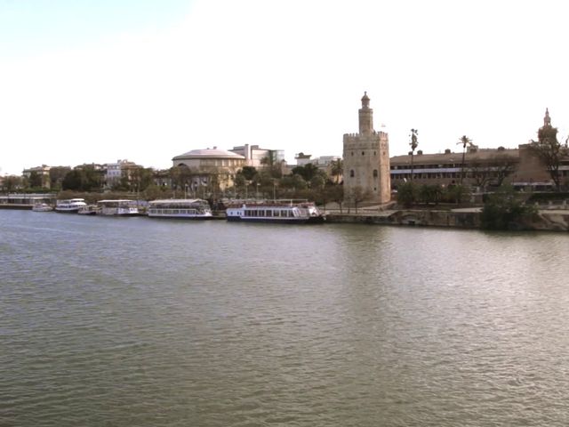 La boda de José y Rocío en Isla Minima, Sevilla 3