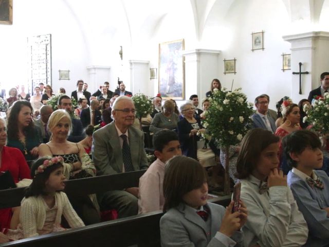 La boda de José y Rocío en Isla Minima, Sevilla 13