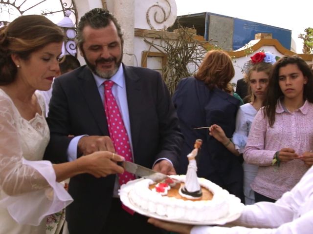 La boda de José y Rocío en Isla Minima, Sevilla 25